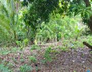 LOT FOR SALE IN TALISAY -- Land -- Cebu City, Philippines