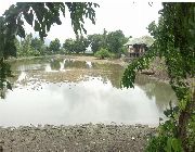 FISHPOND FOR SALE- freshwater  - 4has, 3has and 1.2has -- Land & Farm -- Laguna, Philippines