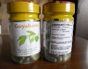 Guyabano -- Natural & Herbal Medicine -- Antipolo, Philippines