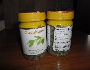 Guyabano -- Natural & Herbal Medicine -- Antipolo, Philippines