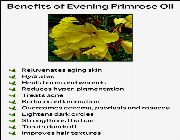 Evening primrose oil BilinaMurato Swanson -- Nutrition & Food Supplement -- Metro Manila, Philippines
