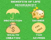 retirement plan, life insurance, savings plan, health benefits -- Loans & Insurance -- Nueva Ecija, Philippines