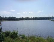FISHPOND FOR SALE - 44 HECTARES -- Land & Farm -- Quezon Province, Philippines