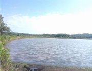 FISHPOND FOR SALE - 44 HECTARES -- Land & Farm -- Quezon Province, Philippines
