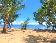 playa laiya, laiya batangas, beachfront lots beachfront property for sale batangas -- Beach & Resort -- San Juan, Philippines