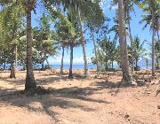 playa laiya, laiya batangas, beachfront lots beachfront property for sale batangas -- Beach & Resort -- San Juan, Philippines