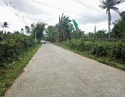 The Lowest Selling Subdivision Lot in Tagaytay, Silang & Mendez -- Land -- Tagaytay, Philippines