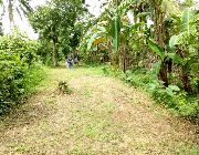 The Lowest Selling Farm Lot inear in agaytay City -- Land -- Tagaytay, Philippines
