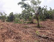 The Lowest Selling Farm Lot inear in agaytay City -- Land -- Tagaytay, Philippines