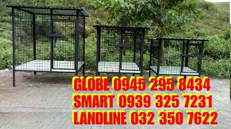 dog cage, heavy duty dog cage, dog station cebu -- Dogs Cebu City, Philippines