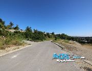 Lot For Sale in Mandaue Cebu -- Land -- Mandaue, Philippines