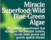 BLUE GREEN ALGAE SPIRULINA. bilinamurato piping rock blue-green spirulina -- Nutrition & Food Supplement -- Metro Manila, Philippines