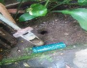 Tetmites -- Outdoor Patio & Garden -- Marikina, Philippines