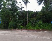 Industrial Lot in Davao City for sale -- House & Lot -- Davao City, Philippines