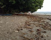 Property in Davao City for Sale -- Beach & Resort -- Davao City, Philippines