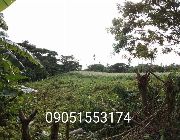 Beninas Springville -- Land & Farm -- Tagaytay, Philippines