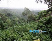 Lot For Sale in Busay Cebu City ,CIty View -- Land -- Cebu City, Philippines