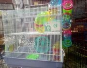 HAMSTER MOUSE CAGE -- Pet Accessories -- Metro Manila, Philippines