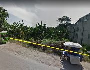 72.405M 4,827sqm Vacant Lot For Sale in Labogon Mandaue City -- Land -- Mandaue, Philippines