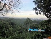LOT For Sale in Busay Cebu City -- House & Lot -- Cebu City, Philippines
