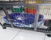 DOG CAGE WITH WHEELS -- Pet Accessories -- Pasay, Philippines
