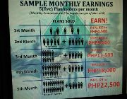 Part-Time, Extra Income, Sales Agent, Salesman, St. Peter, Sales Rep -- Home-based Non-Internet -- Metro Manila, Philippines