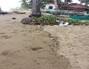 5M 1,490sqm Beach Lot For Sale in Langtad Argao Cebu -- Land -- Cebu City, Philippines