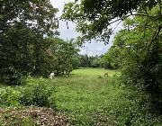 Lot For Sale -- Everything Else -- Paranaque, Philippines