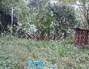 AGRICULTURAL LAND FOR SALE IN BINALIW CEBU CITY -- House & Lot -- Cebu City, Philippines