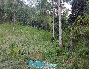 AGRICULTURAL LAND FOR SALE IN BINALIW CEBU CITY -- House & Lot -- Cebu City, Philippines