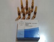 Testosterone -- Nutrition & Food Supplement -- Taguig, Philippines