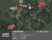 1.5M 216sqm Lot For Sale in Glen Rose Subd Carcar City Cebu -- Land -- Carcar, Philippines