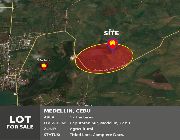 64M 17 Hectares Agricultural Lot For Sale in Medellin Cebu -- Land -- Carcar, Philippines