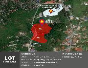 97.1M 1.38Ha Lot For Sale in Day-as Cordova Cebu -- Land -- Lapu-Lapu, Philippines