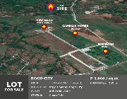 134.2M 13.4Ha Industrial Lot For Sale in Bogo City -- Land -- Bogo, Philippines