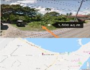 15M 1,500sqm Lot for Sale in Mactan Lapu-Lapu City -- Land -- Lapu-Lapu, Philippines