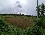 3.5M 4.7 Hectares Farm Lot for Sale in San Miguel Bohol -- Land & Farm -- Bohol, Philippines