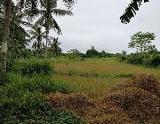 3.5M 4.7 Hectares Farm Lot for Sale in San Miguel Bohol -- Land & Farm -- Bohol, Philippines