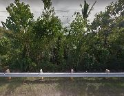 1.8M 517sqm Commercial Lot for Sale in Casate Ubay Bohol -- Land -- Bohol, Philippines