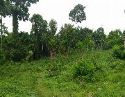 house and lot, lot, farm, agricultural, business -- Land & Farm -- Batangas City, Philippines