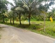 Lot only -- Land -- Carcar, Philippines