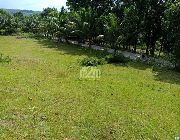 Lot only -- Land -- Carcar, Philippines