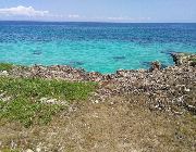 40.39M 4.7 Hectares Cliff Lot for Sale in Camotes Island Cebu -- Land -- Cebu City, Philippines