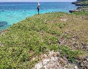40.39M 4.7 Hectares Cliff Lot for Sale in Camotes Island Cebu -- Land -- Cebu City, Philippines