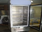 upright, display, freezer -- Food & Related Products -- Metro Manila, Philippines