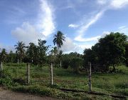 Lot for sale -- Land & Farm -- Albay, Philippines