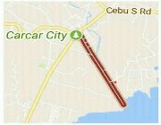 14.6M 2,908sqm Lot for Sale in Poblacion 2 Carcar Cebu -- Land -- Carcar, Philippines