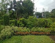 landscape, plants for sale, frograss, carabao grass, -- Other Services -- Calamba, Philippines