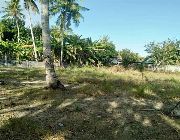 20.1M 4,652sqm Beach Lot for Sale in San Remigio Cebu -- Land -- Cebu City, Philippines