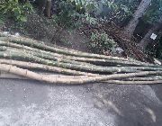 Kawayan/Bamboo -- Home Tools & Accessories -- Batangas City, Philippines